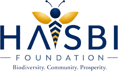 Hasbi Foundation